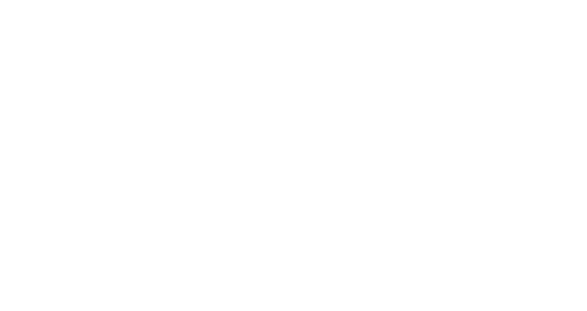 María Bárbara Hongos