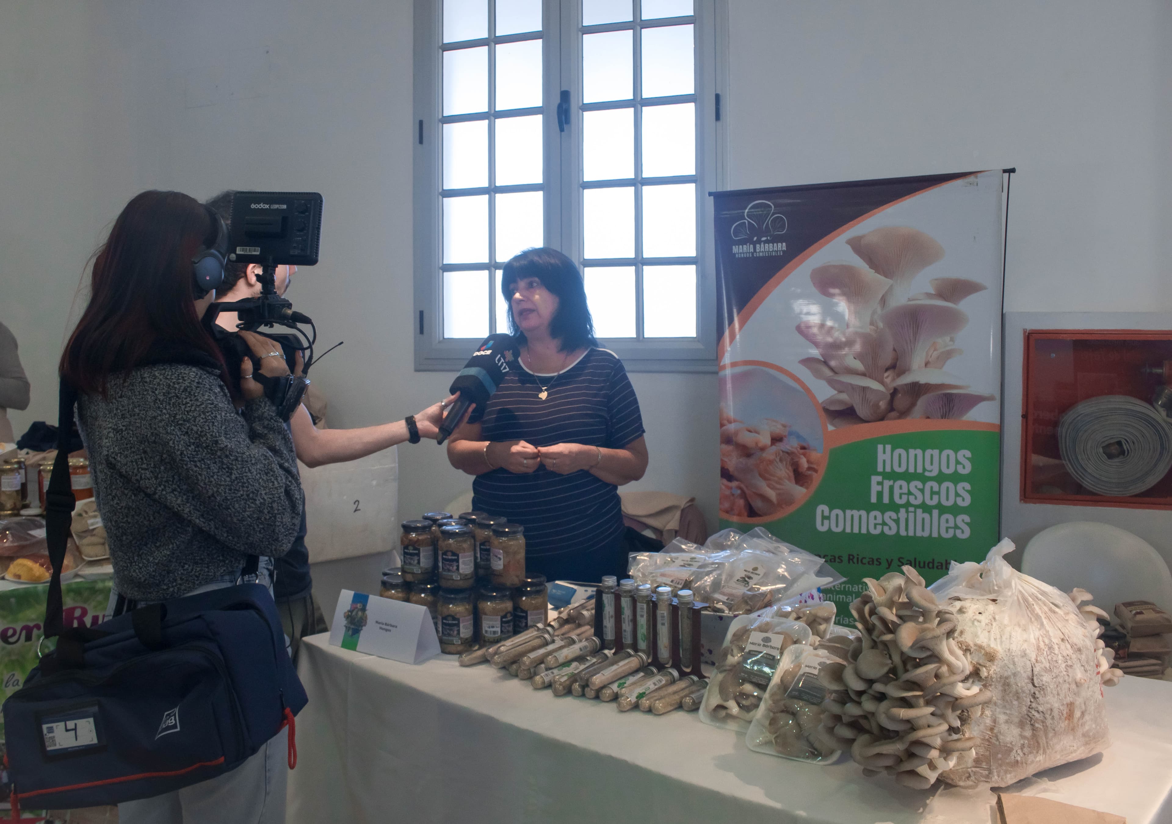 Nuestra historia - María Bárbara Hongos