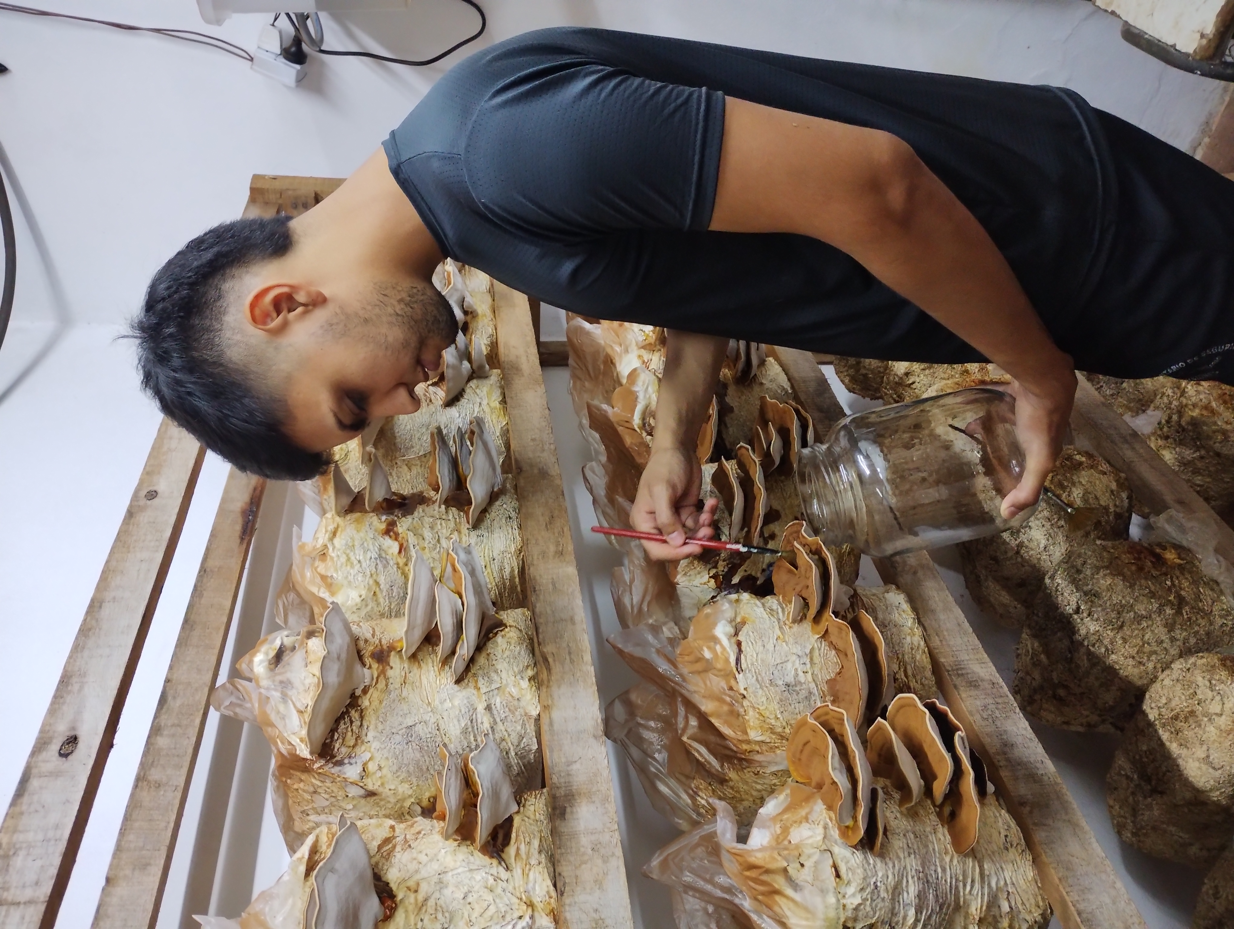 Horacio Flores con Reishi